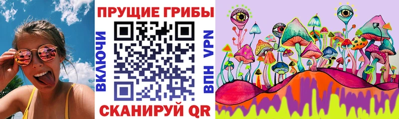 Галлюциногенные грибы GOLDEN TEACHER Казань