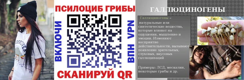 Галлюциногенные грибы MAGIC MUSHROOMS  магазин    Казань 